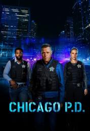 Chicago PD - Stagione 11 [06/13] (2024) .mkv 1080p HEVC WEBMUX ITA ENG EAC3 SUBS [ODINO]